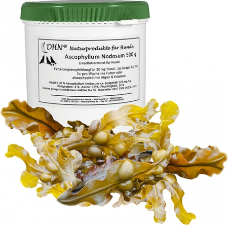 Roux at tiltrække Tahiti DHN® Ascophyllum Nodosum 500 g – BoSaLi-BARF